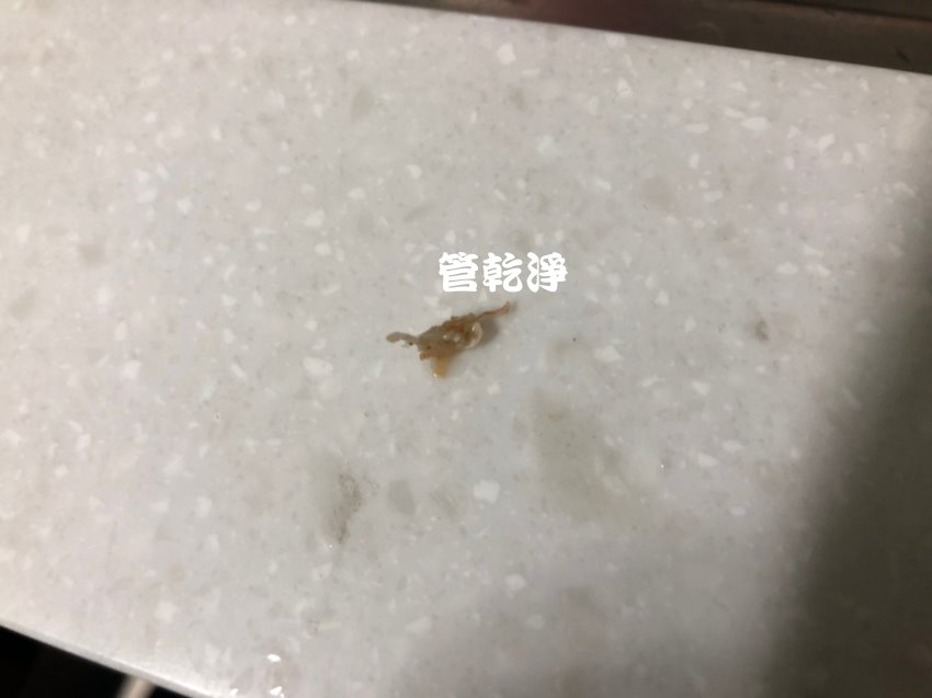 洗水管, 水管清洗, 管乾淨